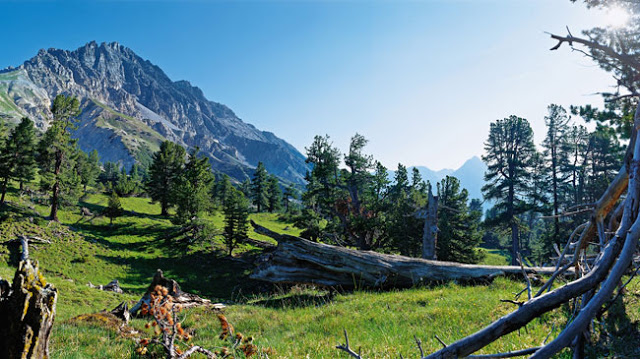 Swiss yaitu negara pegunungan yang ada di Eropa Daftar Tempat Wisata Mempesona Di Swiss