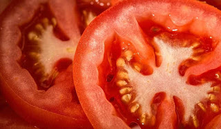 Tomat termasuk buah yang bermanfaat untuk ibu hamil dan janin Manfaat Tomat untuk Ibu Hamil dan Janin